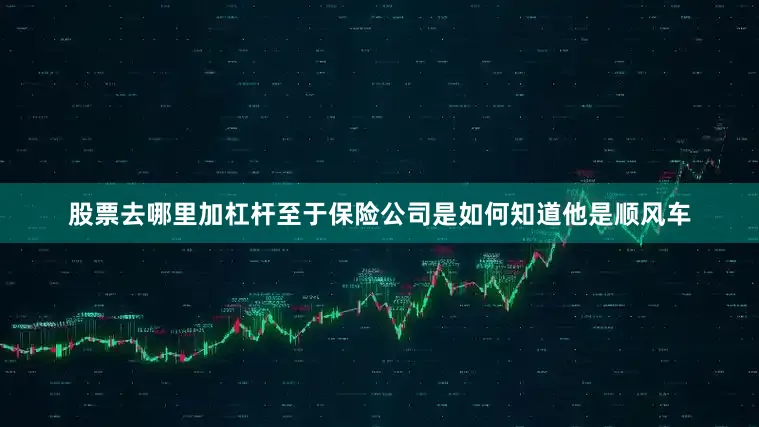 股票去哪里加杠杆至于保险公司是如何知道他是顺风车
