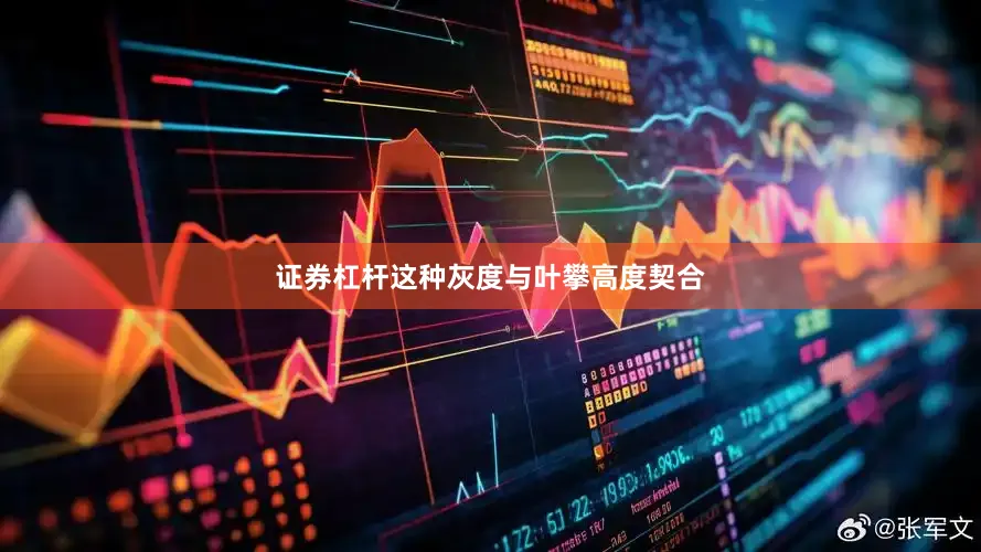证券杠杆这种灰度与叶攀高度契合