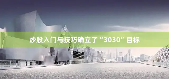 炒股入门与技巧确立了“3030”目标